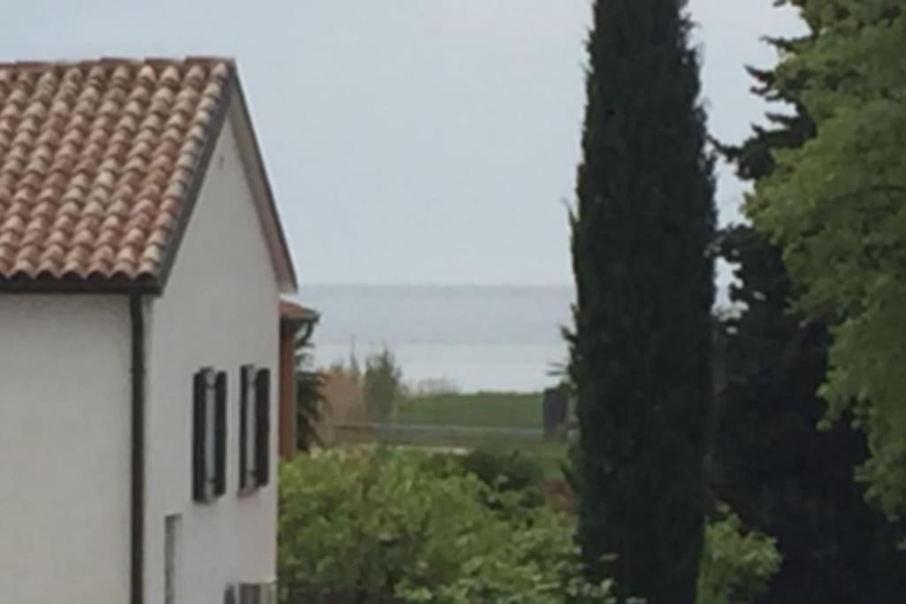 Apartment, 200M From Sea Brtonigla Esterno foto